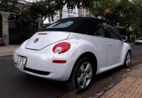 Volkswagen New Beetle   2006 - Bán Volkswagen New Beetle 2006, màu trắng, nhập khẩu, 495tr giá 495 triệu tại Tp.HCM