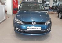 Volkswagen Polo 2017 - Bán Volkswagen Polo sedan đời 2017, màu xanh lam, xe nhập nguyên chiếc giá 695 triệu tại Ninh Bình