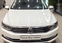 Volkswagen Passat Bluemotion 2018 - Chỉ  cần trả trước 300 triệu cho Volkswagen Passat BM, màu trắng, xe Đức nhập khẩu giá 1 tỷ 450 tr tại Phú Yên