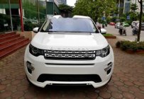 LandRover Discovery Sport HSE Luxury 2016 - Cần bán LandRover Discovery Sport HSE Luxury đời 2016, màu trắng, xe nhập giá 2 tỷ 920 tr tại Hà Nội