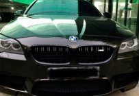 BMW 5 Series 528i 2010 - Chính chủ cần bán BMW 5 Series 528i sản xuất năm 2010, màu đen giá 1 tỷ 100 tr tại Hà Nội