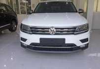 Volkswagen Tiguan Allspace 2018 - Bán xe Volkswagen Tiguan Allspace nhập khẩu nguyên chiếc giá 1 tỷ 699 tr tại Hải Phòng