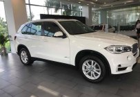 BMW X5 2018 - Bán xe BMW X5 đi tết 2019 với nhiều ưu đãi giá 3 tỷ 599 tr tại Tp.HCM