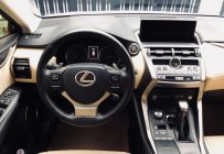 Lexus NX 300 2017 - Cần bán Lexus NX300 2018, nhập khẩu nguyên chiếc giá 2 tỷ 555 tr tại Tp.HCM