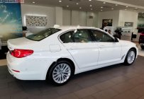 BMW 5 Series 530i Luxury Line 2018 - Bán BMW 5 Series 530i Luxury Line 2018, màu trắng, nhập khẩu, mới 100% giá 3 tỷ 69 tr tại Bình Dương