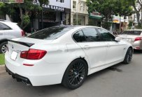 BMW 5 Series 528i 2010 - Bán BMW 5 Series 528i đời 2010, màu trắng, nhập khẩu nguyên chiếc, 980tr giá 980 triệu tại Tp.HCM