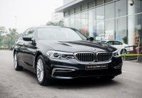 BMW 5 Series 530i  2019 - BMW 530i Luxury Line - Nhập khẩu từ Đức mới 100% - giảm 120 triệu giá 3 tỷ 69 tr tại Hải Phòng
