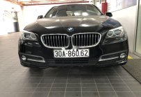 BMW 5 Series 520i 2015 - Bán BMW 5 Series 520i sản xuất 2015, màu đen, nhập khẩu giá 1 tỷ 500 tr tại Hà Nội