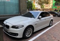 BMW 5 Series 2015 - Cần bán lại xe BMW 5 Series 520i năm 2015, màu trắng, nhập khẩu nguyên chiếc giá 1 tỷ 450 tr tại Hà Nội