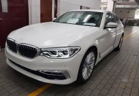BMW 5 Series 530i 2019 - Bán siêu xe - Giá siêu rẻ, BMW 5 Series 530i năm 2019, màu trắng, xe nhập giá 2 tỷ 869 tr tại Tp.HCM