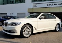 BMW 5 Series 530i 2019 - Cần bán BMW 530i mới 100% Display Key, màu trắng, nhập khẩu chính hãng giá 2 tỷ 869 tr tại Tp.HCM