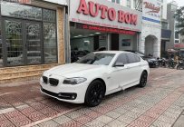 BMW 5 Series 2016 - Cần bán lại xe BMW 5 Series 520i sản xuất 2016, màu trắng, nhập khẩu nguyên chiếc giá 1 tỷ 499 tr tại Hà Nội