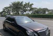Mercedes-Benz E class 2009 - Bán Mercedes E class sản xuất năm 2009 giá 630 triệu tại Tp.HCM
