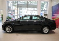 Volkswagen Passat Bluemotion 2019 - Cần bán Volkswagen Passat Bluemotion đời 2019, màu đen, xe nhập giá 1 tỷ 480 tr tại Tp.HCM