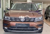 Volkswagen Tiguan 2017 - Màu nâu, xe nhập giá 1 tỷ 199 tr tại Tp.HCM