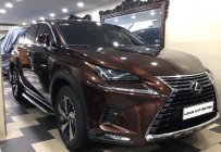 Lexus NX 300 2020 - Xe gia đình ít sử dụng còn thơm mùi xe mới giá 1 tỷ 980 tr tại Tp.HCM