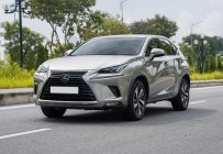 Lexus NX 300 2020 - Màu xám, nhập khẩu số tự động giá 2 tỷ 450 tr tại Hà Nội