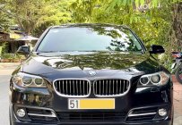 BMW 520i 2016 - Phiên bản Special Edition, trang bị full option giá 925 triệu tại Tp.HCM
