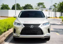 Lexus RX 300 2020 - Bán Lexus RX300 sản xuất 2020, tên tư nhân, biển Hà Nội giá 2 tỷ 550 tr tại Hà Nội