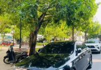 Mercedes-Benz E300 2019 - Mercedes-Benz E300 SX 2019 – XE GIA ĐÌNH, CHÍNH CHỦ, BAO CHECK THOẢI MÁI giá 1 tỷ 250 tr tại Tp.HCM